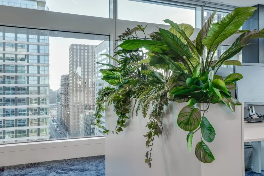Grote plantenbak in modern kantoor met uitzicht op stadsgebouwen.