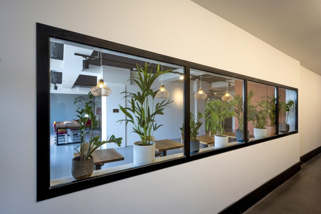 Grote ramen met groene planten en hanglampen in een moderne kantoorruimte.