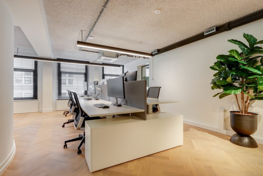 Modern kantoorinterieur met stijlvolle werkplekken en een grote plant voor een frisse uitstraling.